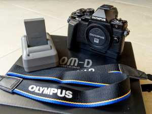Olympus OM-D E-M10 Mark ii ... with ECG-3 Camera-Grip & Extra Battery