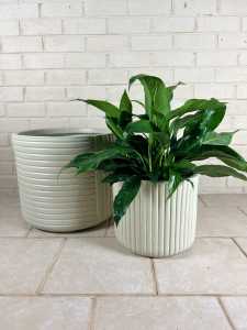 Range of Pots Available