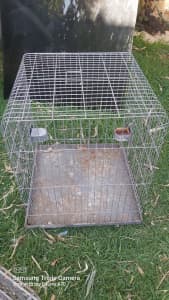 Parrot Cages - two available