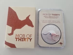 2023 mob of thirty silver frosted silver coin