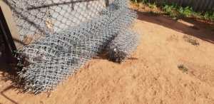 Galvanized Chainlink fencing