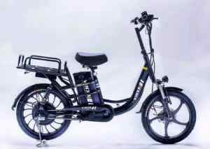 Vinxs 48v Electric Cargo bike( EW2032)