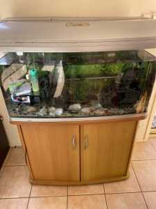 Fish tank, stand & filter for sale ! With fish