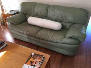 Natuzzi Novara green leather 3 Seater Sofa