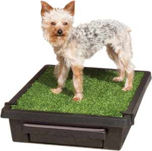 Indoor/Outdoor Pet Toilet LOO Dog Potty Training Pad SMALL with tray.