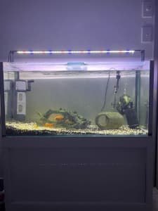 Fish Tank 180l 95x45x40