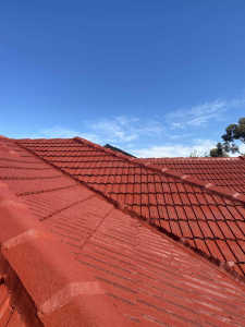Roof repairs - Roof restoration - Gutter repairs - Free Quotes 