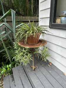 Spider plant in terracotta pot on Moroccan plant stand