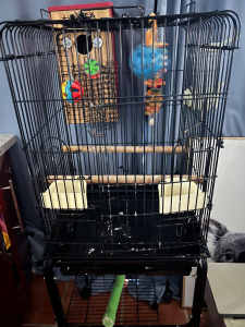Bird cage with stand and nest