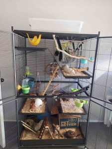 Rat/ ferret/ mice/ bird/ rabbit/cat cage