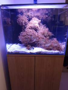 Aquaone Mini Reef 120