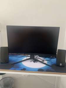 Monitor/ps5/speakers/2 controllers/headset 