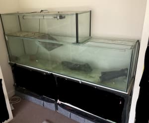 180cm/6ft Turtle Aquarium Tank with filters, lights & stand