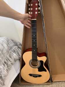 Medium Alpha Acoustic Guitar