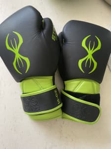 Sting Predator Training Leather Boxing Gloves 14oz