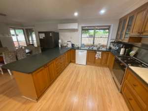 SOLD - Solid Tasmanian Oak Kitchen with Leaded Glass cabinets