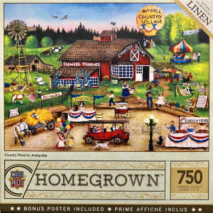 Jigsaw Puzzle - 750 piece - $10.