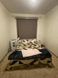 Room for rent in Truganina