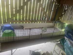 Indoor guinea pig cage