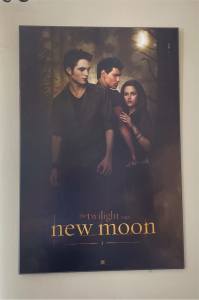 Twilight Saga New Moon Poster Wooden Backing