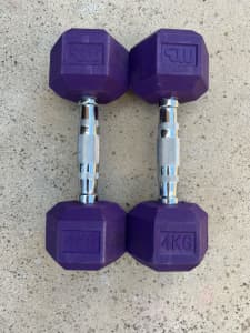 2x 4kg dumbbell weights