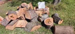 Free perfect firWOOD, TREE trunk fit for garden project, DIY furniture