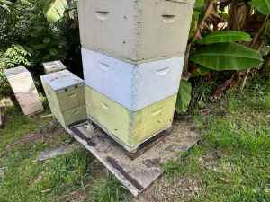 Bee Hives with Bees