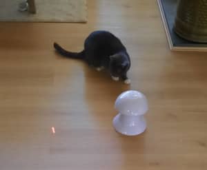 Cat Toy - Automatic Rotating Laser Light