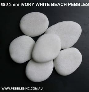 50-80mm IVORY WHITE BEACH GARDEN PEBBLES and STONES -20 kg-WHOLESALE