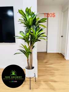 Faux Greenery (dracaena) brand new - quantity 50 plants available