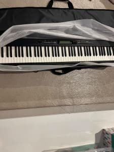 Casio Keyboard - New