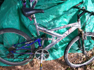 mongoose mgx d50i