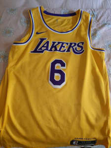 NBA Jersey Lebron James Lakers old number 