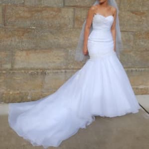 Brides Desire Wedding Gown