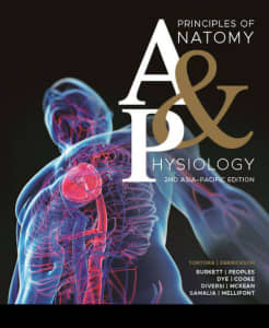 Principles of Anatomy and Physiology 2nd Asia-Pacific Edition