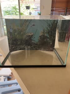 Fish tank with lid