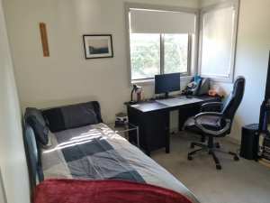 Room Available in Newington 