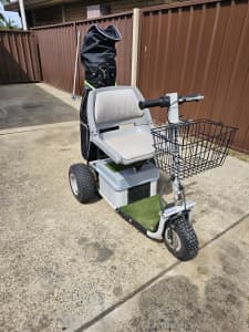 Parmaker Spirit Ghia golf cart golf buggy mobility scooter 