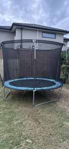 Trampoline Free to a good home