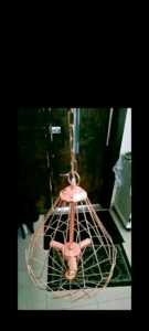 Rose Gold Chandelier (Delivery Available)