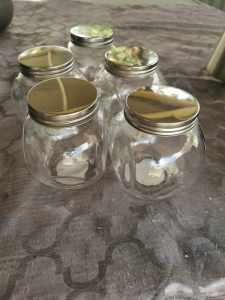 Cookie jars (5)
