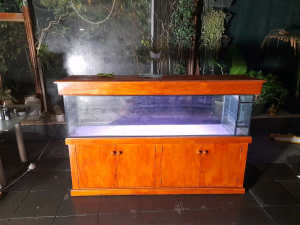 Aquarium 6ft fish tank with Wooden cabinet and hood