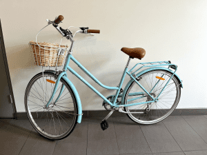 REID bike - Ladies Classic Vintage & Accessories