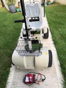 GOLF BUGGY PARMAKER RIDE ON