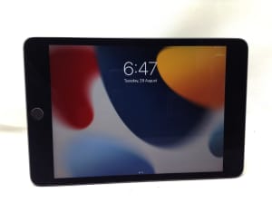 Apple iPad Mini 5th Gen Wi-Fi Only 256GB (A2133)