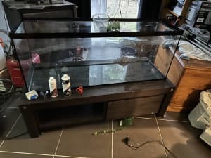 60x18x24 glass aquarium
