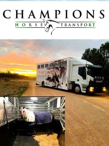 Champions Horse Transport