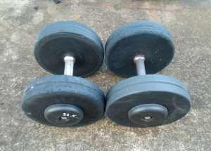 gym weights pair of 22.5kg fixed dumbells