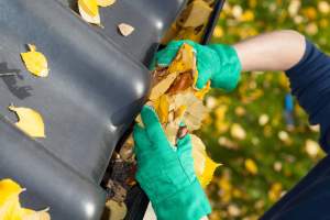 Gutter Cleaning-All Suburbs-7 days