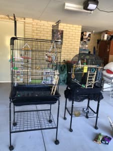 Bird cages 2 for sale